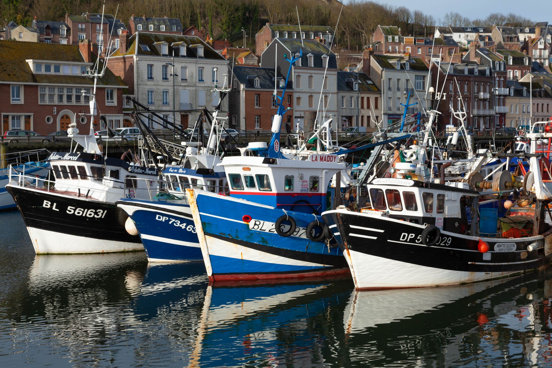 Fuir la chaleur : la Normandie, un rêve ou une illusion ?