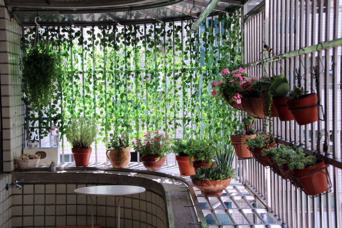 Créer un potager sur balcon pas à pas