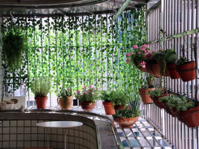 Créer un potager sur balcon pas à pas