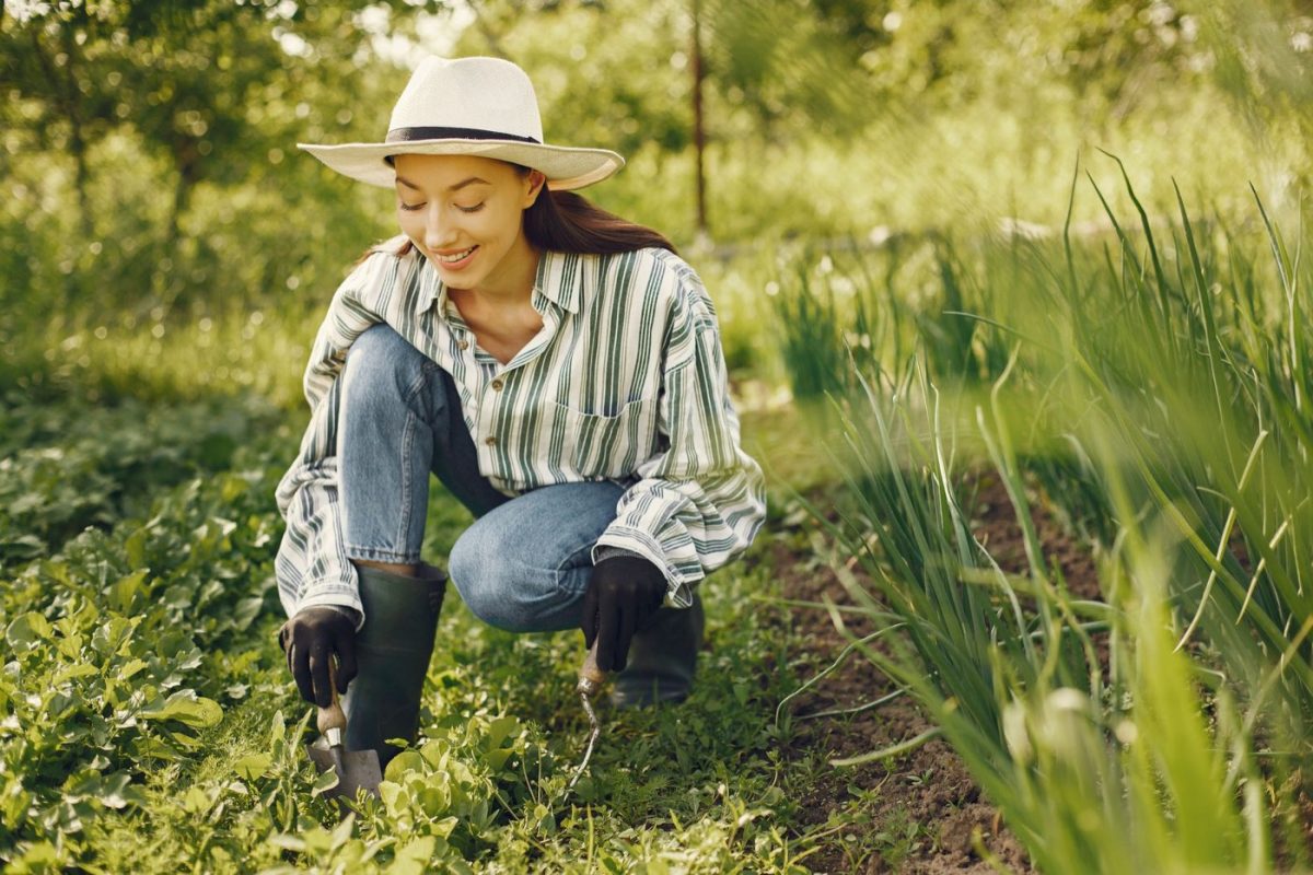 Meilleurs outils de jardinage pour débutant : 7 essentiels
