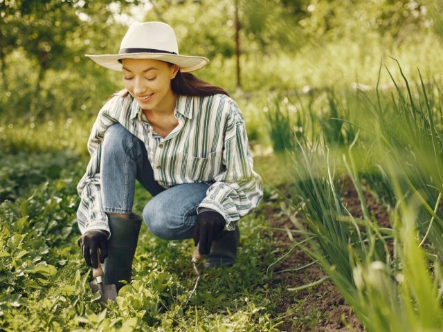 Meilleurs outils de jardinage pour débutant : 7 essentiels