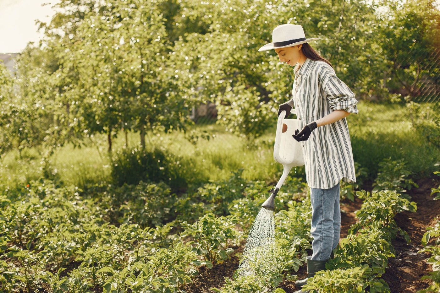 Meilleurs systèmes d'arrosage pour petit jardin