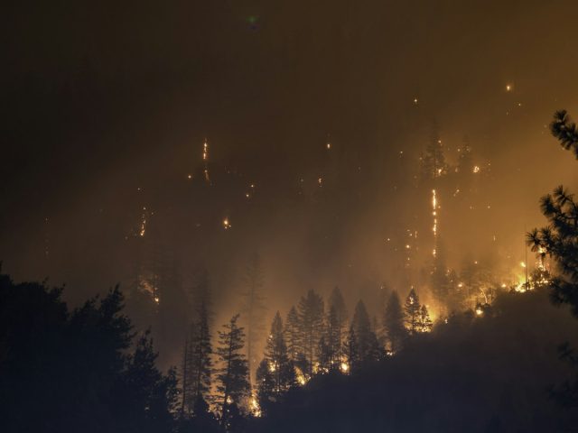 Près de 100 000 hectares brûlés : notre sécurité civile en question