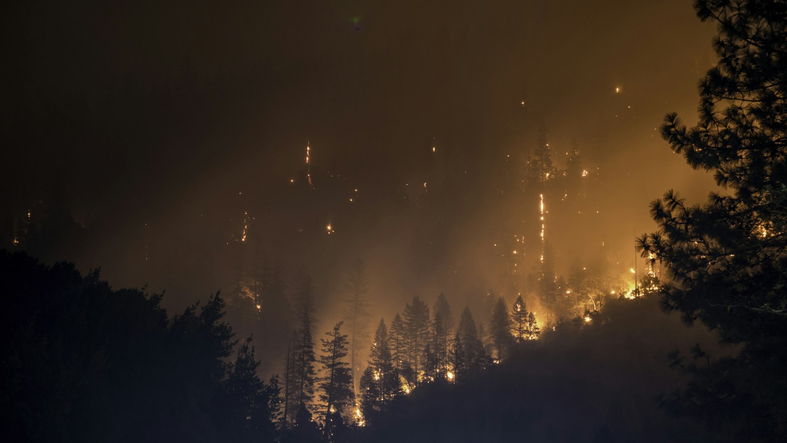 Près de 100 000 hectares brûlés : notre sécurité civile en question