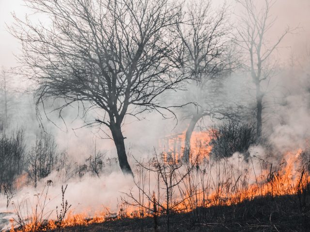 Bilan alarmant des canicules de l’été 2026 en France