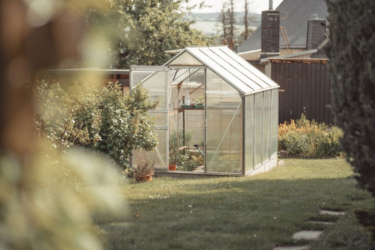 Comparatif des serres de jardin par matériau et usage