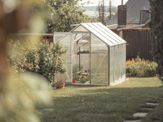Comparatif des serres de jardin par matériau et usage