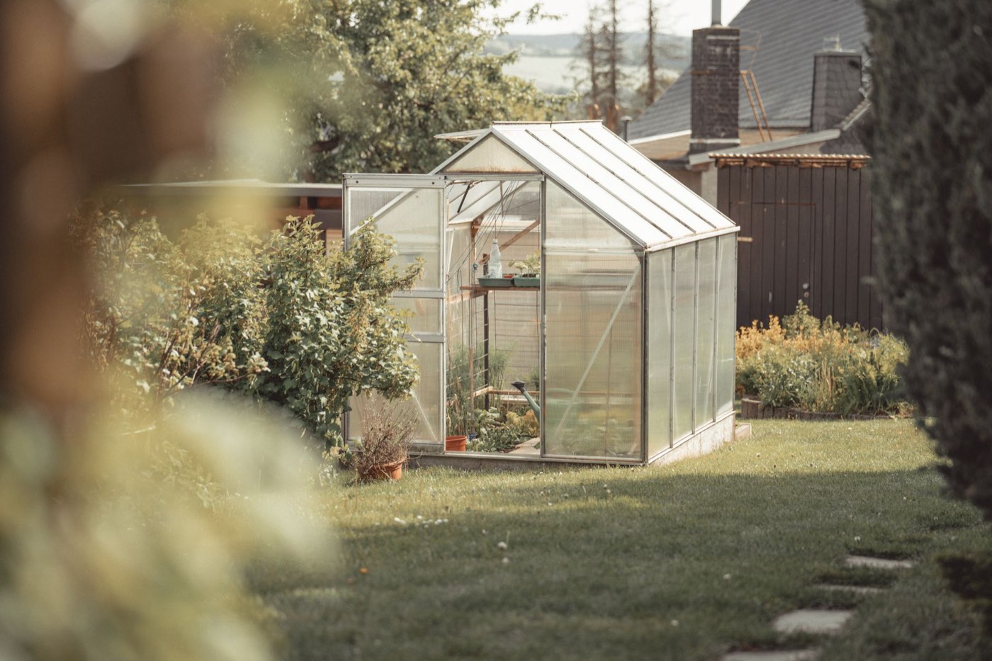 Comparatif des serres de jardin par matériau et usage
