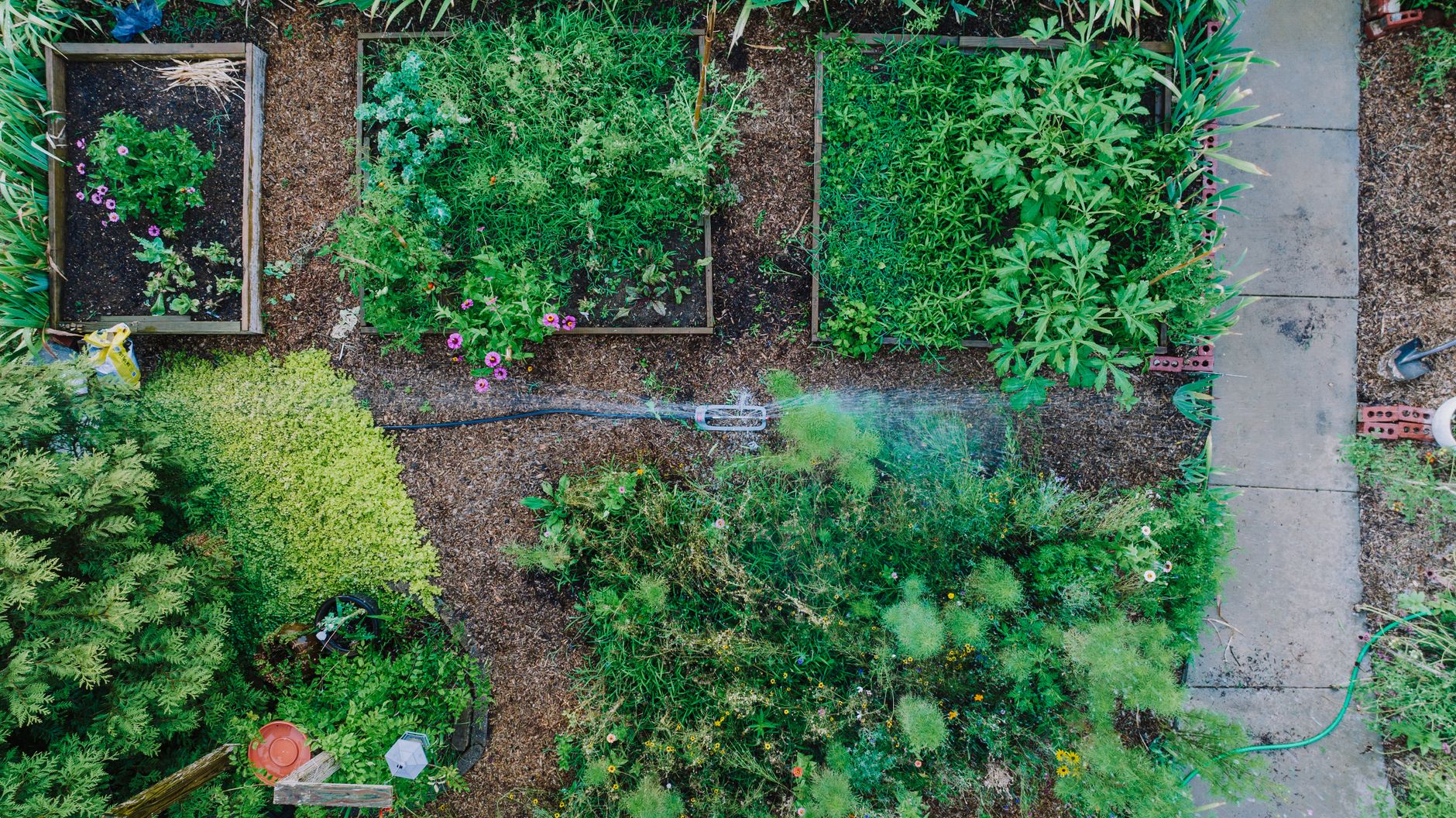 Créer et gérer un potager collectif de quartier