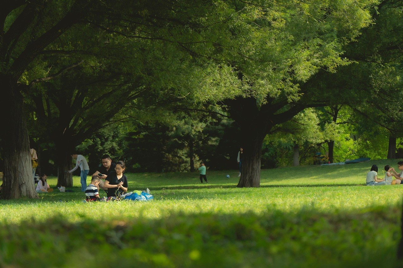 Famille à l'ombre des arbres dans un parc pour se protéger de la chaleur