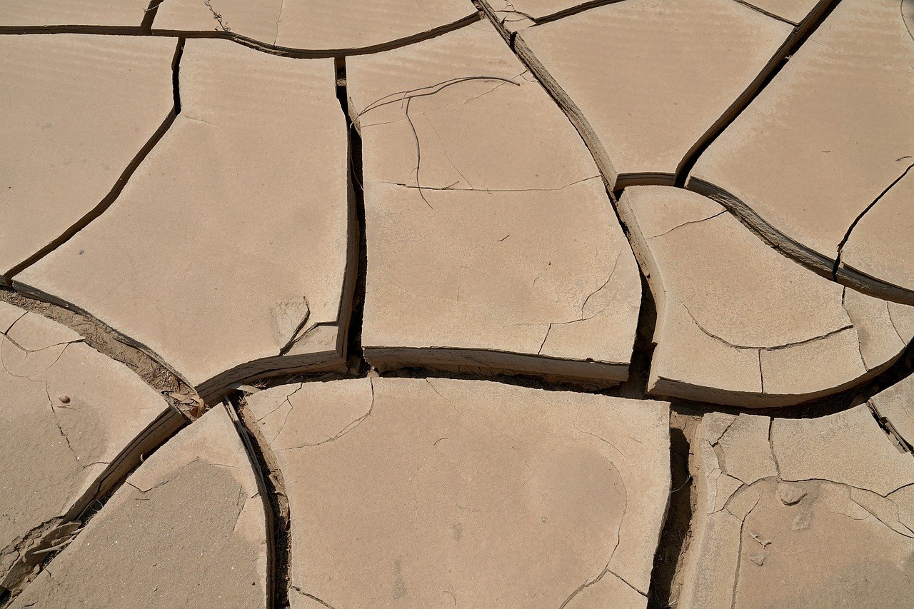 Terre craquelée par la sécheresse, conséquence de la canicule
