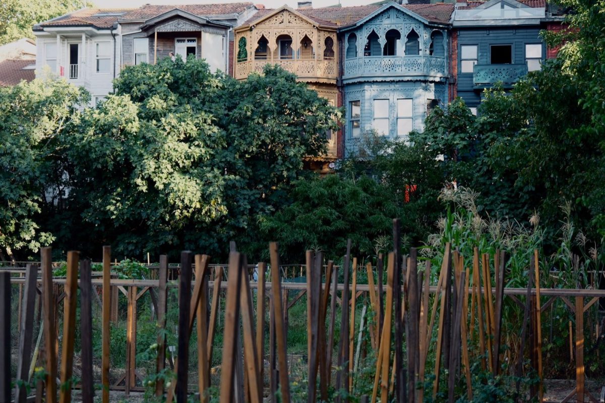 Créer et gérer un potager collectif de quartier