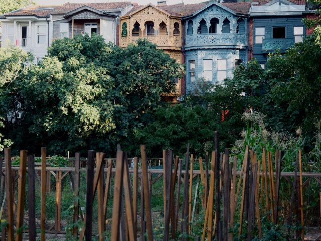 Créer et gérer un potager collectif de quartier