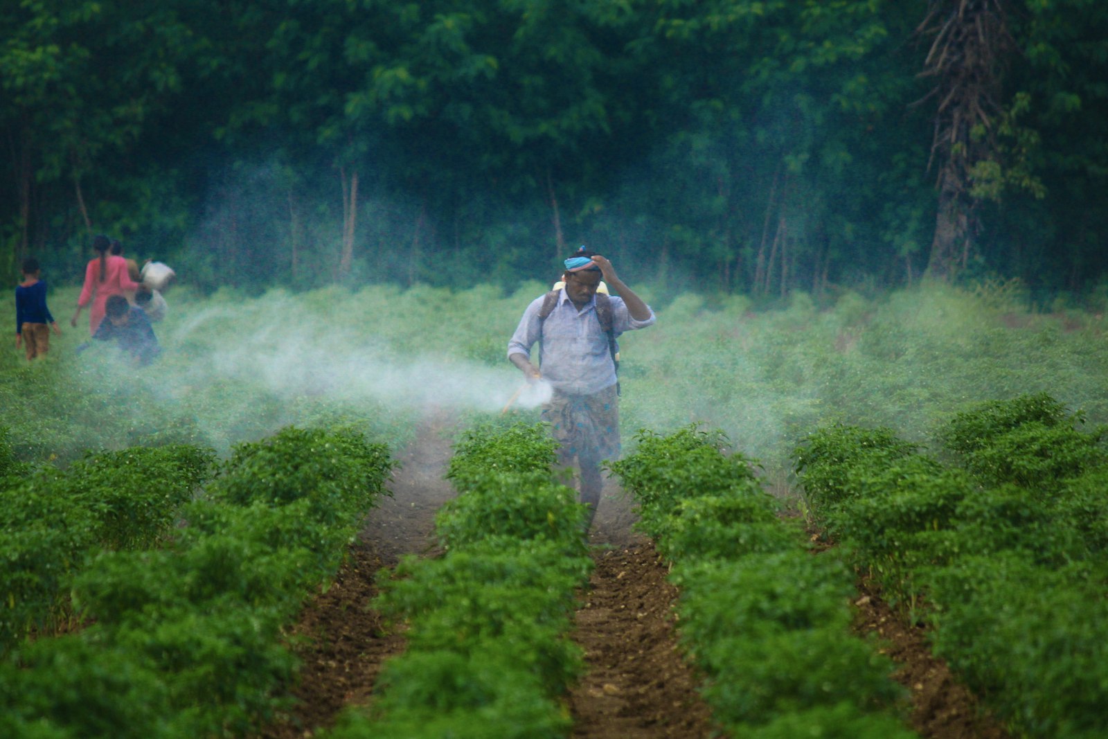 Dès aujourd'hui, comment protéger vos enfants des pesticides ?