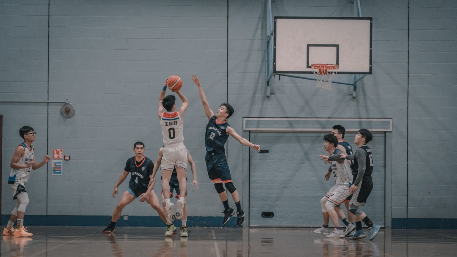 Renforcement musculaire basket : ce que la salle apporte à vos appuis